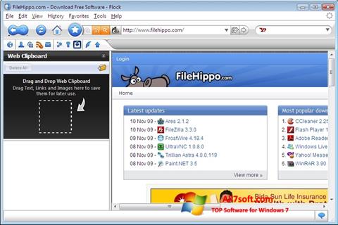 Snimak zaslona Flock Windows 7
