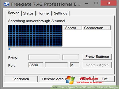 Snimak zaslona Freegate Windows 7